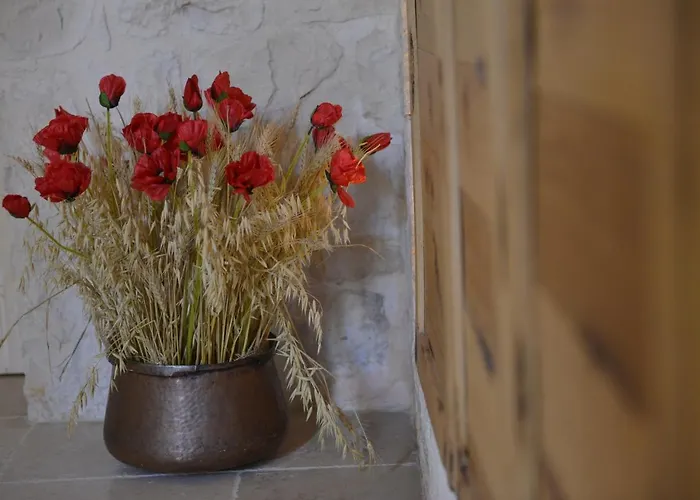 אכסניה Dimore Barsento